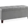 Erin Gray Padded Shoe Storage Ottoman -Chic Furniture Store 810389631 5
