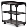 Sherlock Rolling Server Cart -Chic Furniture Store 810423041 2