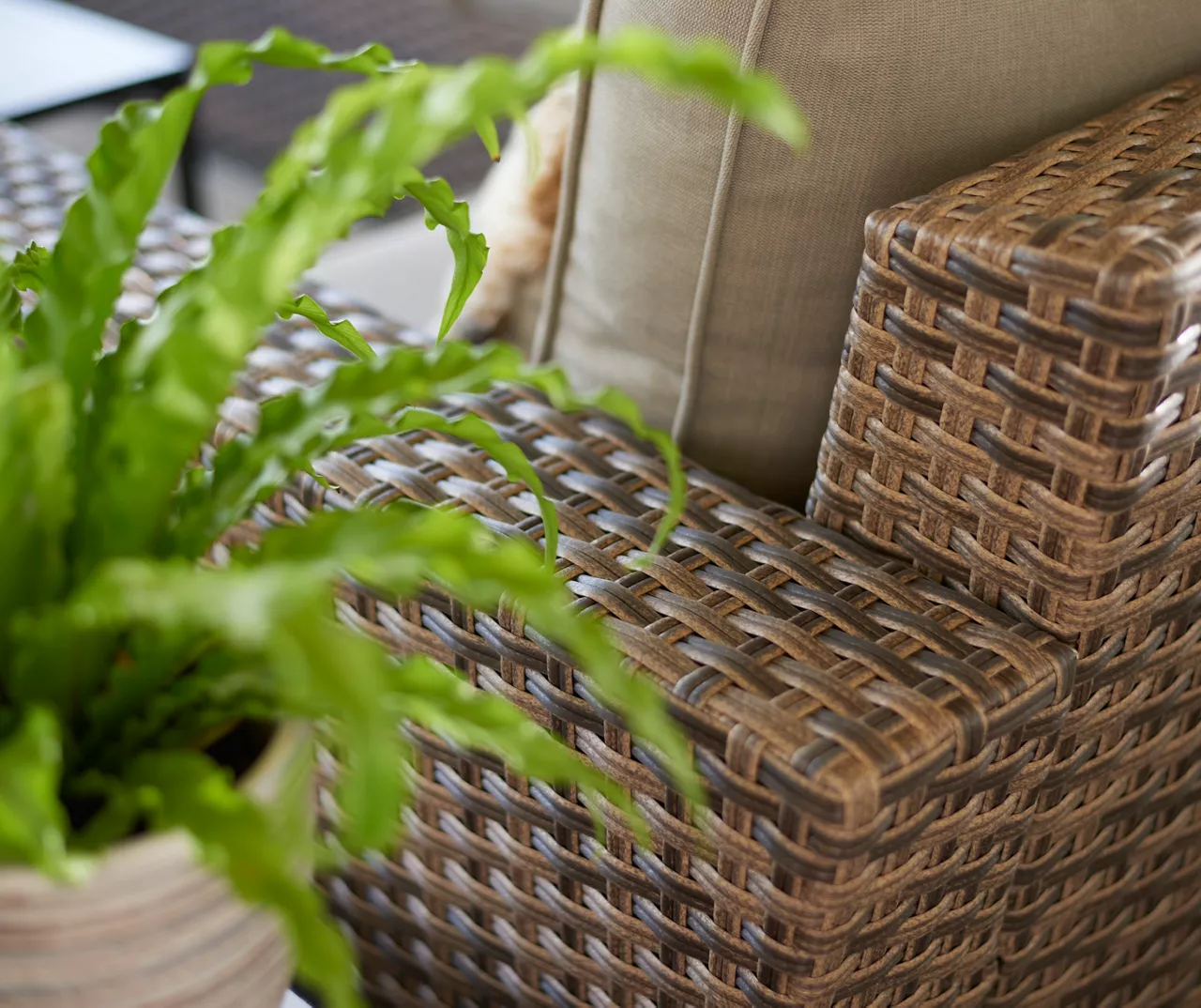 Broyhill Eagle Brooke All-Weather Wicker Cushioned Patio Sofa 8 Broyhill Eagle Brooke All-Weather Wicker Cushioned Patio Sofa - Image 6