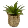 Succulent In Woven Basket Pot -Chic Furniture Store 810503243