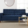 Brookside Tufted Velvet Sofa -Chic Furniture Store 810527183 1