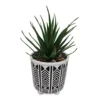 Succulent in Geometric Footed Ceramic Pot -Chic Furniture Store 810534586
