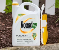 Roundup Ready-To-Use Poison Ivy Plus Tough Brush Killer With Comfort Wand, 1.33 Gal. -Chic Furniture Store 810543477 4