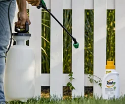 Roundup Concentrate Poison Ivy Plus Tough Brush Killer, 32 Oz. -Chic Furniture Store 810543479 1