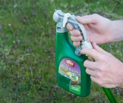 Weed B Gon Chickweed, Clover & Oxalis Killer For Lawns Ready-To-Spray, 32 Oz. -Chic Furniture Store 810543513 2