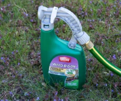 Weed B Gon Chickweed, Clover & Oxalis Killer For Lawns Ready-To-Spray, 32 Oz. -Chic Furniture Store 810543513 3