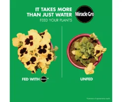 LiquaFeed 4-Piece All Purpose Plant Food Advance Starter Kit & Tomato, Fruits & Vegetables Plant Food Bundle -Chic Furniture Store 810543525 4