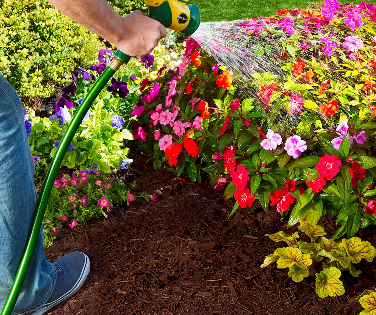 LiquaFeed 4-Piece All Purpose Plant Food Advance Starter Kit & Bloom Booster Flower Food Bundle 7 LiquaFeed 4-Piece All Purpose Plant Food Advance Starter Kit & Bloom Booster Flower Food Bundle - Image 5