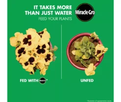 LiquaFeed 4-Piece All Purpose Plant Food Advance Starter Kit & Bloom Booster Flower Food Bundle 15 LiquaFeed 4-Piece All Purpose Plant Food Advance Starter Kit & Bloom Booster Flower Food Bundle -Chic Furniture Store 810543527 6