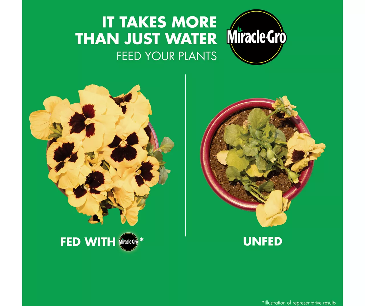 LiquaFeed 4-Piece All Purpose Plant Food Advance Starter Kit & Bloom Booster Flower Food Bundle 9 LiquaFeed 4-Piece All Purpose Plant Food Advance Starter Kit & Bloom Booster Flower Food Bundle - Image 7