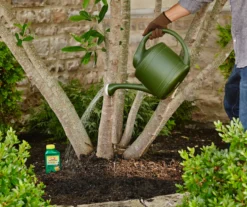 Tree & Shrub Fruit Tree Spray, 16 Oz. -Chic Furniture Store 810543540 2