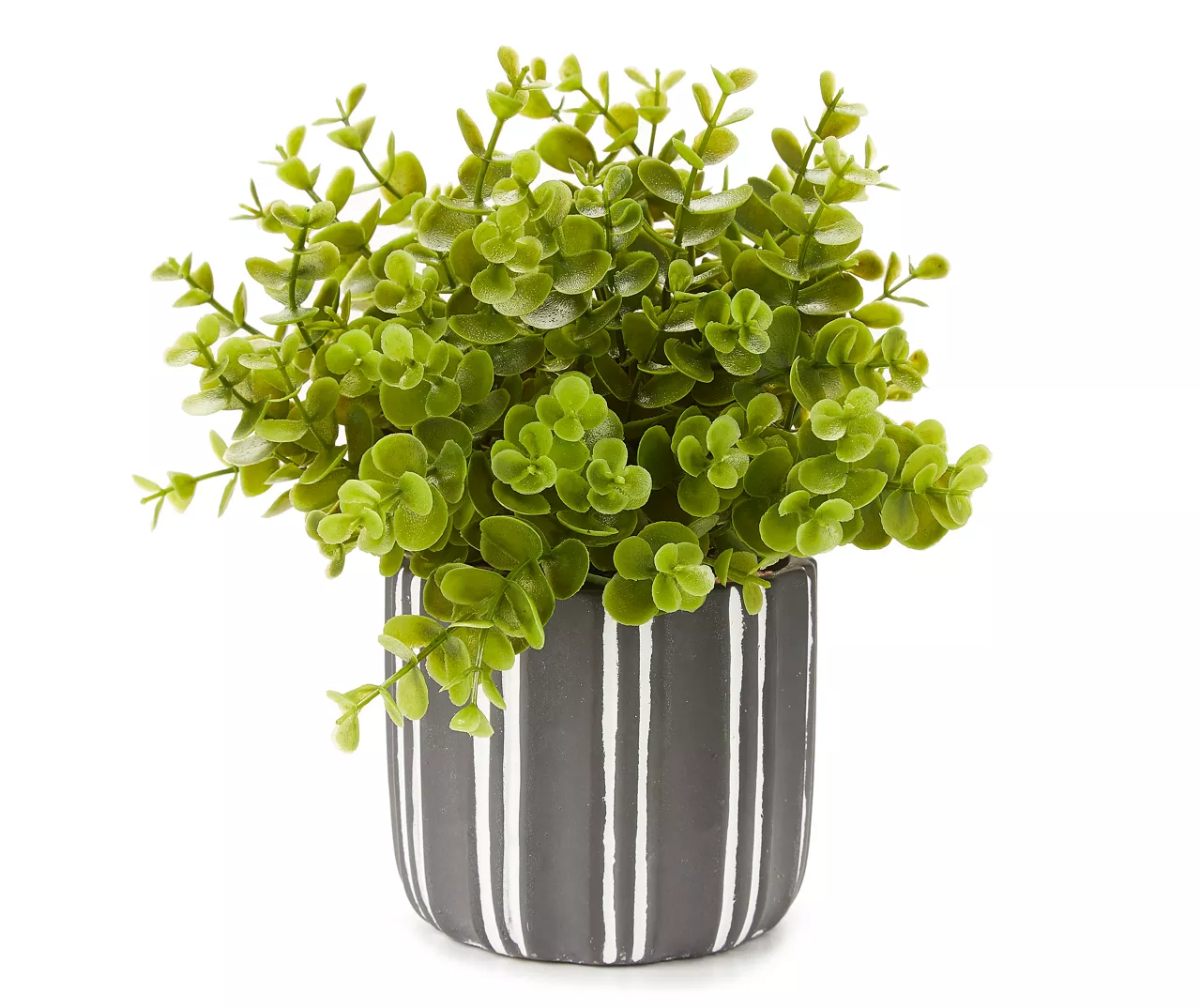 Greenery In Black & White Round Cement Pot 3 Greenery In Black & White Round Cement Pot