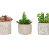Succulent Plants 3-Piece Decor Set -Chic Furniture Store 810566389 1