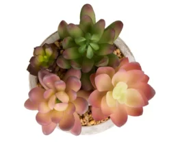 Succulent Plants 3-Piece Decor Set -Chic Furniture Store 810566389 3