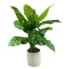 40" Dieffenbachia Plant In Embossed Diamond Ceramic Pot -Chic Furniture Store 810571563