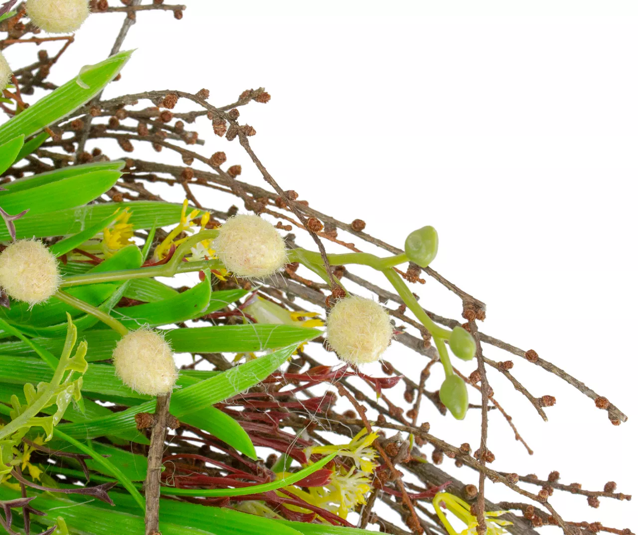 18" Burrs & Brush Wreath 6 18" Burrs & Brush Wreath - Image 4