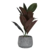 Artificial Red & Green Leaf Plant In Carved Cement Pot -Chic Furniture Store 810587107 A0