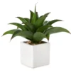Artificial Succulent In Square White Ceramic Pot -Chic Furniture Store 810587212 A0 1