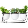 Artificial Succulents In White Pots & Metal Stand -Chic Furniture Store 810588973 A0 1