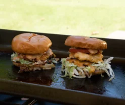 2-Burner Portable Gas Griddle -Chic Furniture Store 810590437 7