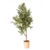 48" Artificial Olive Tree In Terra-Cotta Cement Pot -Chic Furniture Store 810592134 A0
