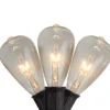 Northlight Clear Edison Glass Light Set With Black Wire, 10-Lights -Chic Furniture Store 810593974 A0 1