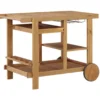 Kailani Honey Rolling Patio Serving Cart 1 Kailani Honey Rolling Patio Serving Cart -Chic Furniture Store 810599454 3