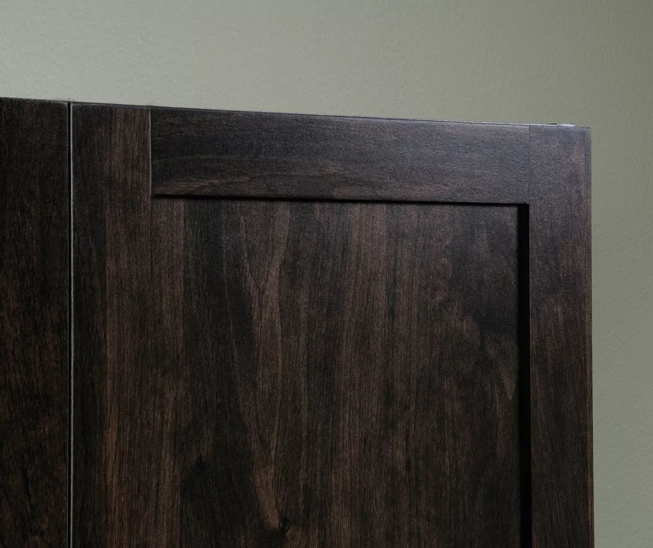 Sauder 2-Door Storage Cabinet 6 Sauder 2-Door Storage Cabinet - Image 4