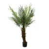 47" Phoenix Palm Tree In Plastic Pot